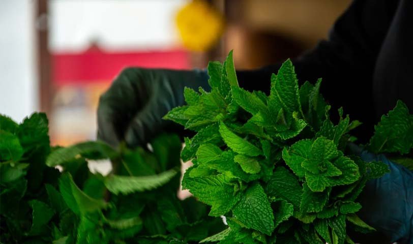 Spearmint Herb