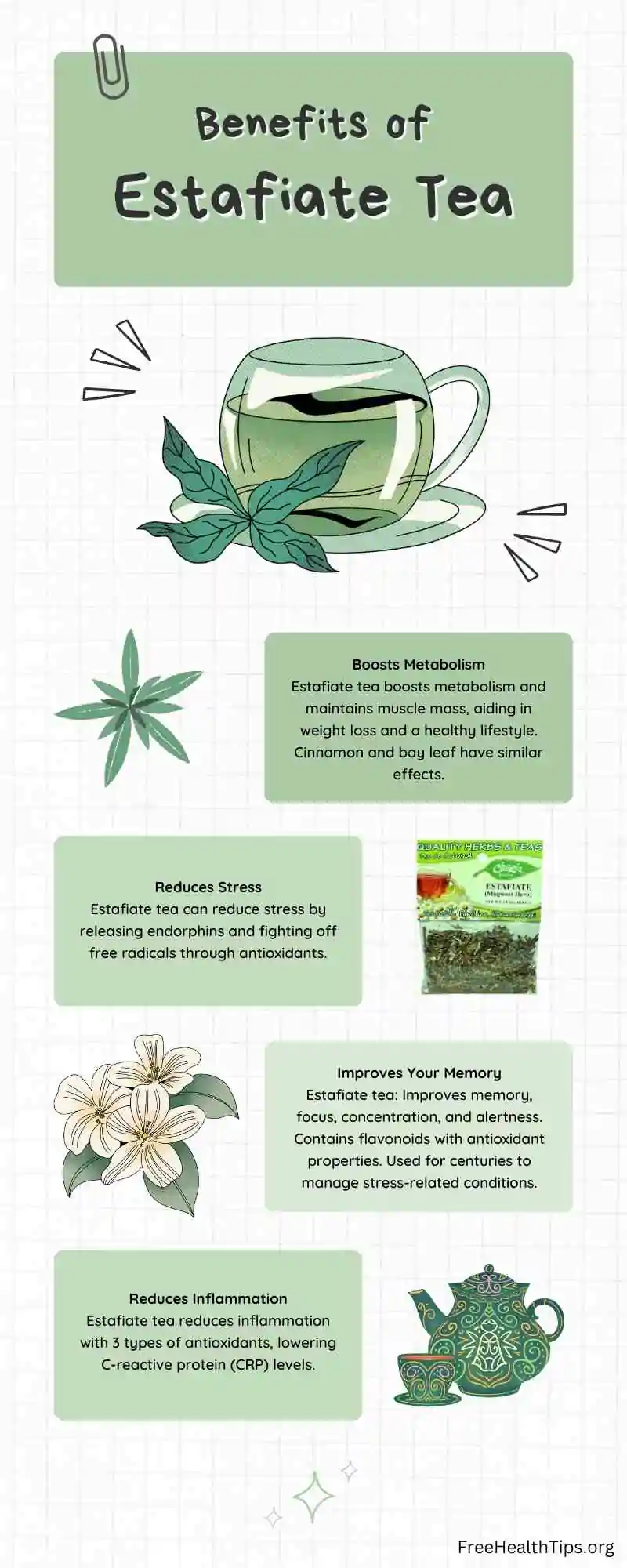Estafiate Tea Benefits Infographic