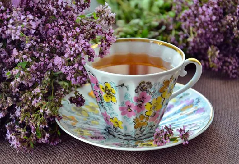 The Power of Oregano Tea: Health Benefits and Recipe