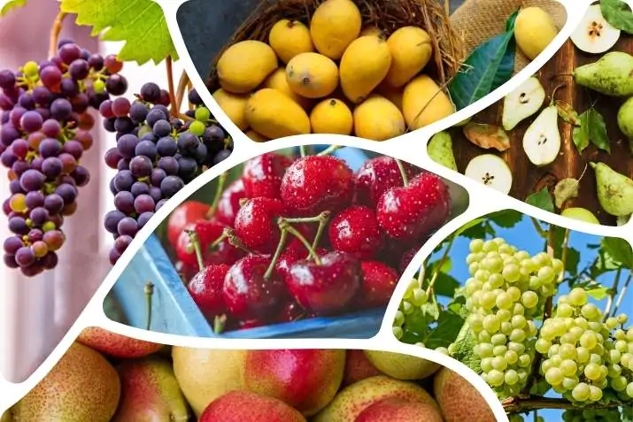 High Fructose Fruits