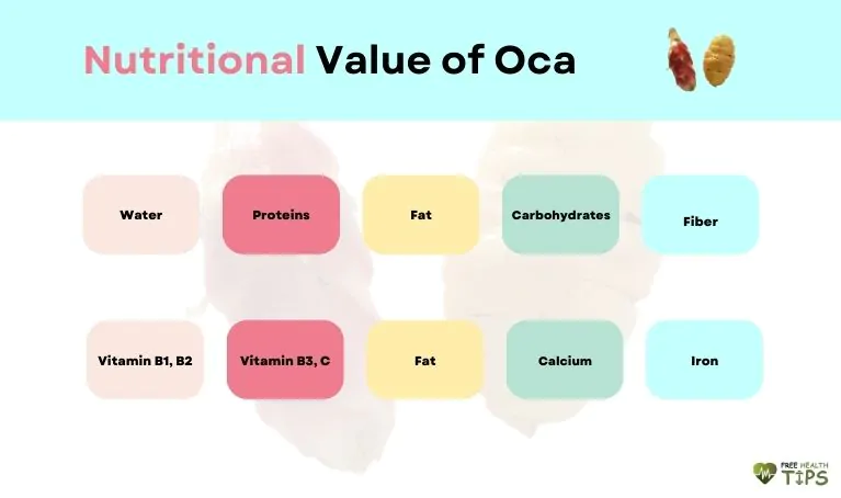 Nutritional Value of Oca